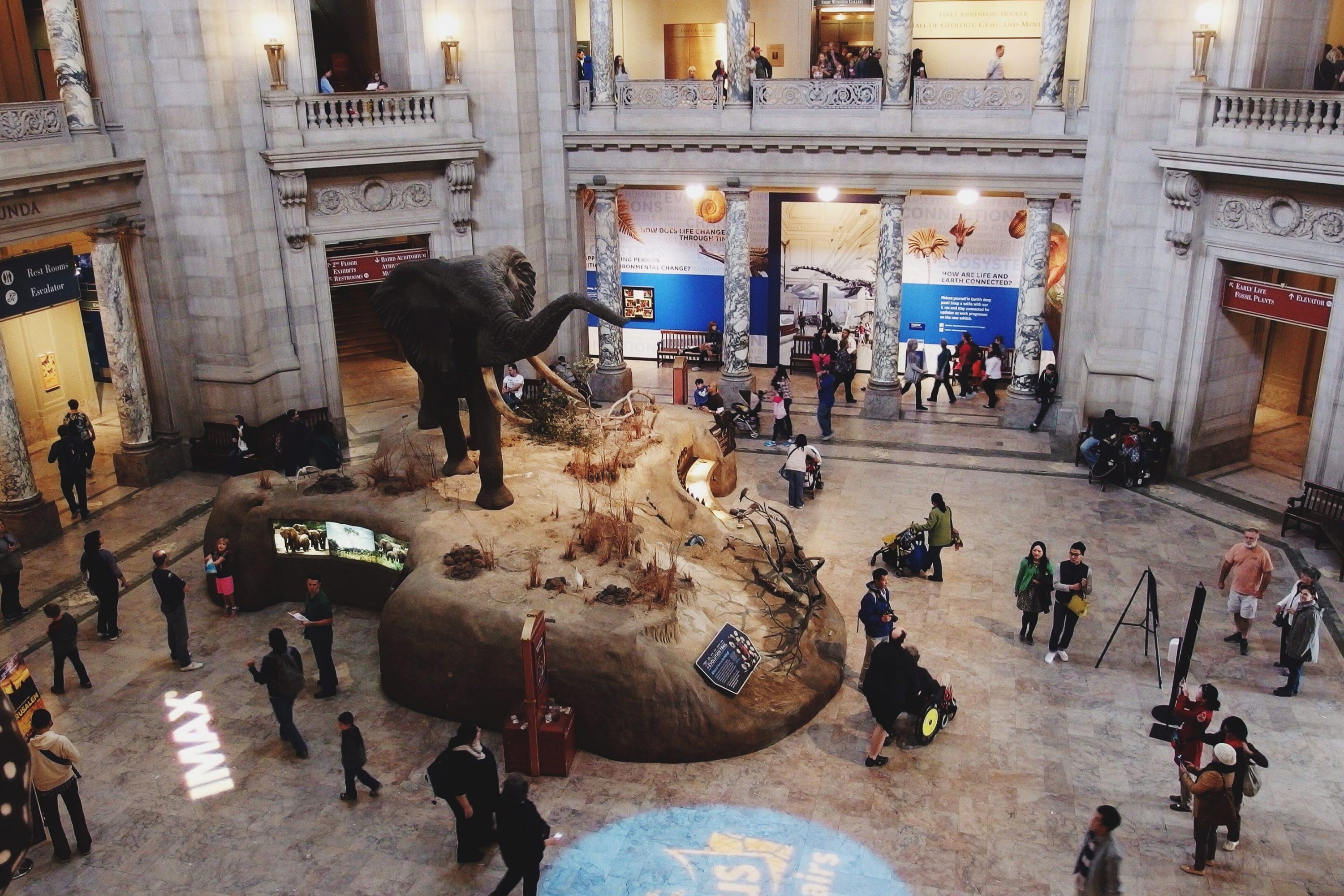 Washington DC museum natural history